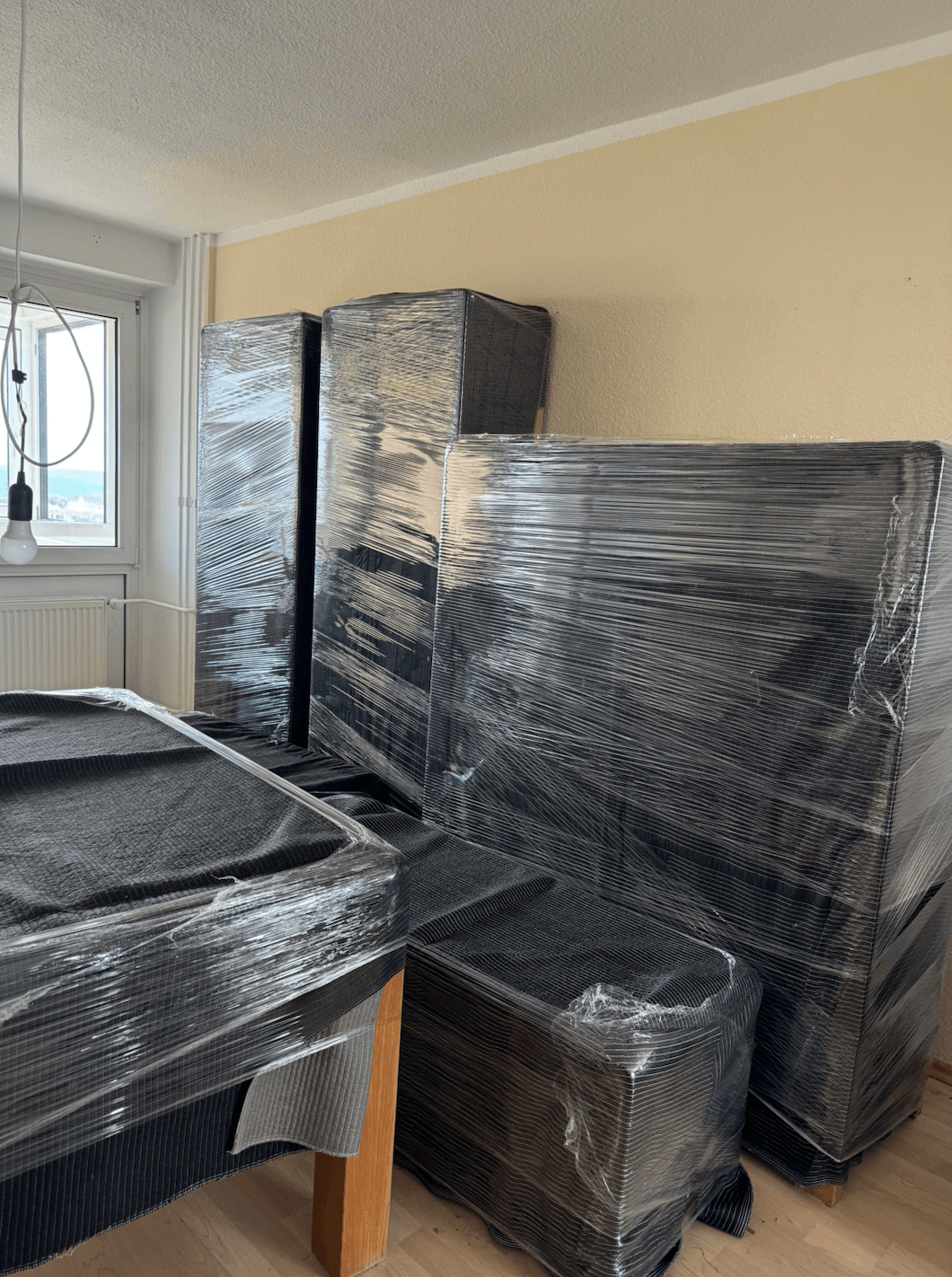 Profi & Prima Umzüge